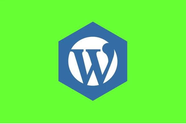 Настройка плагинов интернет-магазина WordPress Woocommerce в Туркменистане